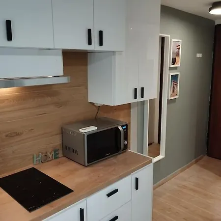 Nektar Cosy Apartment In City Centre-3